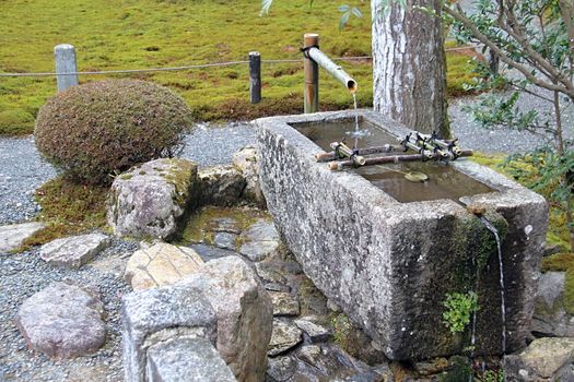 Photo shows details of Japanese temple garden.