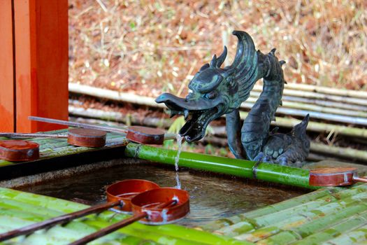 Photo shows details of Japanese temple garden.