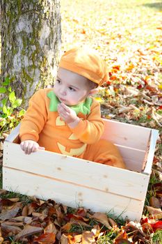 Halloween baby dressed as a pumkin playing outdoors during fall