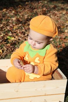 Halloween baby dressed as a pumkin playing outdoors during fall