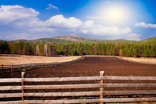 Beautiful rural landscape with  field and sky