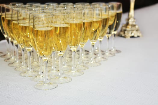 Glasses filled with sparkling wine on  long white table