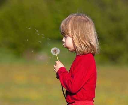 boy with long blond hair holding dandelion standing in a field