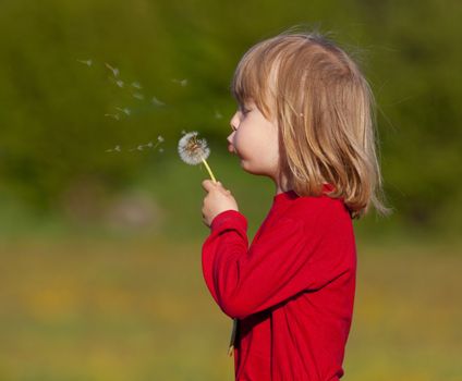 boy with long blond hair holding dandelion standing in a field