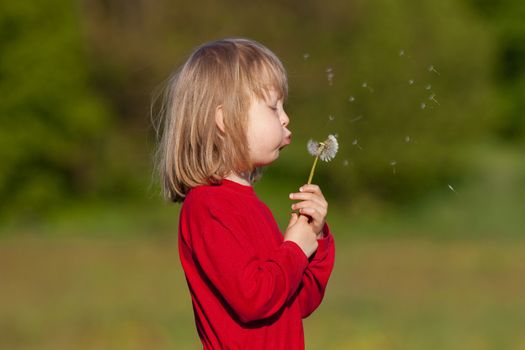 boy with long blond hair holding dandelion standing in a field