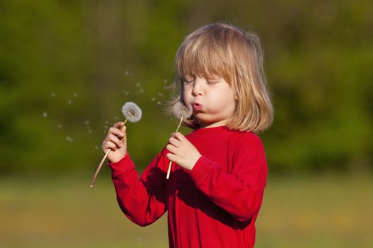 boy with long blond hair holding dandelion standing in a field