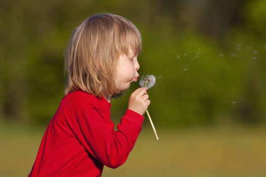 boy with long blond hair holding dandelion standing in a field