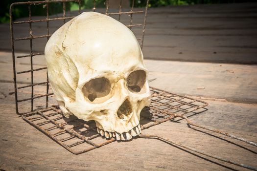 the beautiful still life human skull on the grill at the park