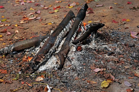 Smoldering fire on a background of autumn of leaves                