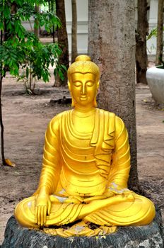 a statue in thai temple