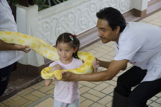 snake show at thai red cross snake farm bangkok thailand on 6 April 2014