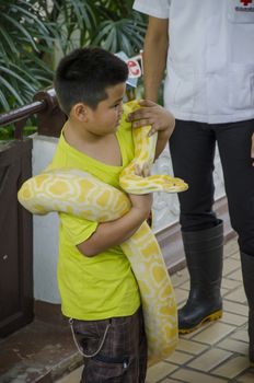 snake show at thai red cross snake farm bangkok thailand on 6 April 2014