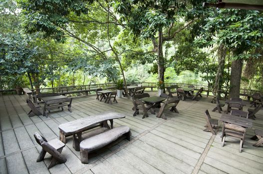 table in forest