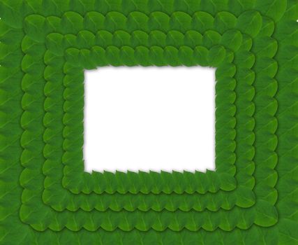 Pattern from green abstract square frame from leaves