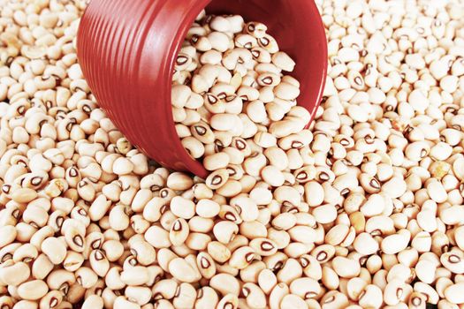 Black eyed peas or beans are a vegetarian  protein source. These belong to the legumes family. The photo includes a terracotta measuring cup amidst the beans. 
