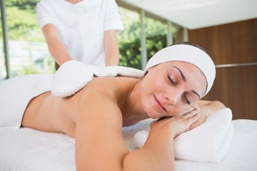 Beauty therapist rubbing smiling womans back with heated mitts in the health spa
