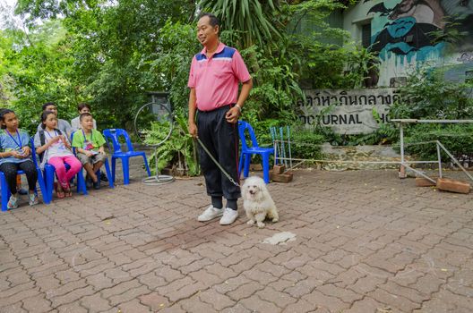 BANGKOK - AUGUST 2 2014, Dusit Sound Dog Show in Dusit Zoo or Kaow-din Zoo ,More Dog have a special talent show for free,for people who come to visit Dusit Zoo. AUGUST 2 2014 - BANGKOK THAILAND