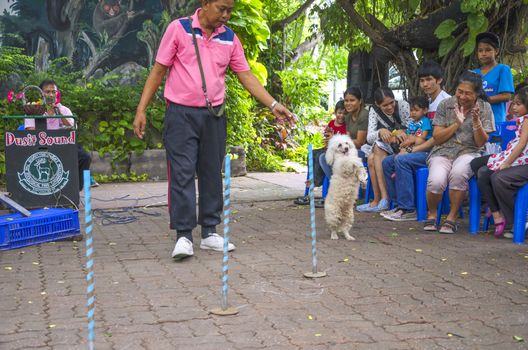 BANGKOK - AUGUST 2 2014, Dusit Sound Dog Show in Dusit Zoo or Kaow-din Zoo ,More Dog have a special talent show for free,for people who come to visit Dusit Zoo. AUGUST 2 2014 - BANGKOK THAILAND