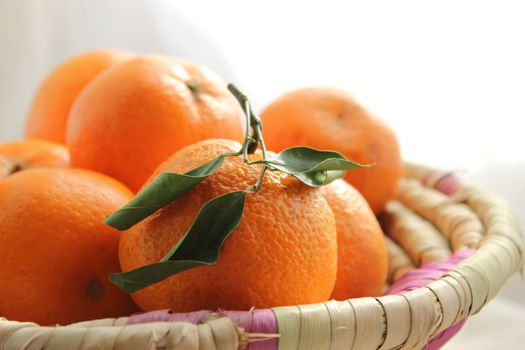 Basket full of mandarin oranges, backlit from a window. Can be used for agriculture, health and organic concepts.
