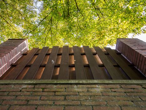 Looking up at trees past a brick wall and wooden fence