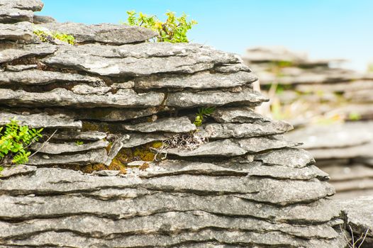 Detail of pancake rock in Punakaiki, Paparoa national park, New Zealand