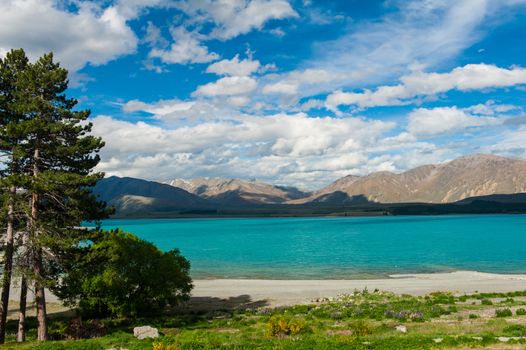 Beautiful incredibly blue lake Tekapo with mountains, Southern Alps, on the other side. New Zealand