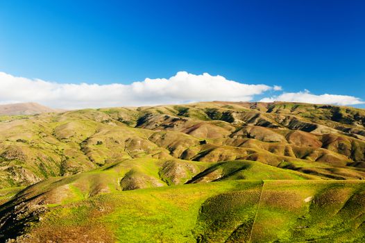 Beautiful green rolling hills of Southern New Zealand at dusk, Lindis Pass, Otago Region