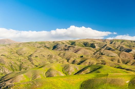 Beautiful green rolling hills of Southern New Zealand at dusk, Lindis Pass, Otago Region