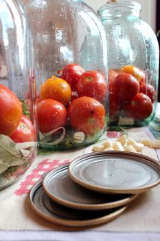 red tomatos in jars prepared for preservation