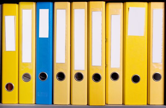  Business folders abreast in case at office
