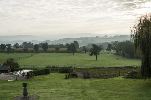 garden with swimming pool horses and hills with mist in the morning