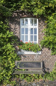 old farm with green plants on the wall and seat on the old rocks in the garden