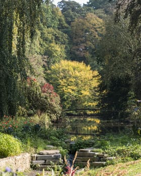 autumn nature with trees and pond with bridge