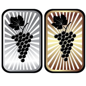 Shiny labels with grapes, advertisement for wine