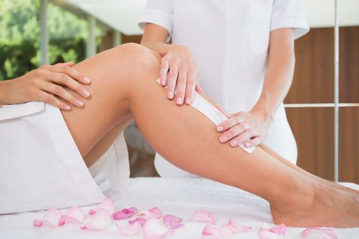 Woman getting her legs waxed by beauty therapist in the health spa