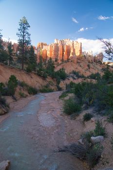 Bryyce Canyon National Park in Summer rains, Utah USA