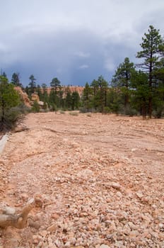 Bryce Canyon National Park, Utah USA