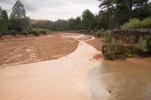 Flash floods in Red Canyon, Utah USA