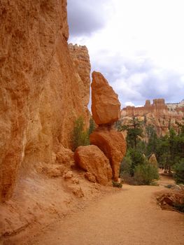 Bryce Canyon National Park, Utah USA