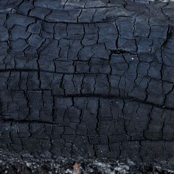 surface of charcoal