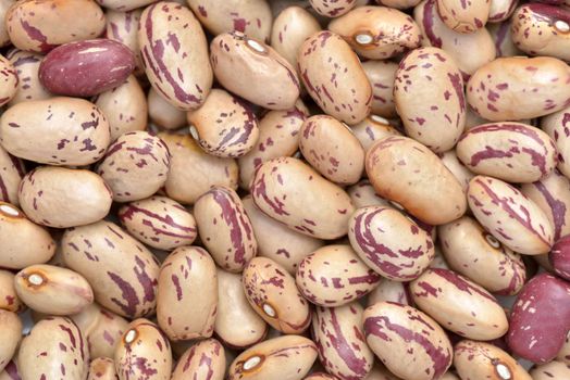 Close-up of pink striped beans to use as background