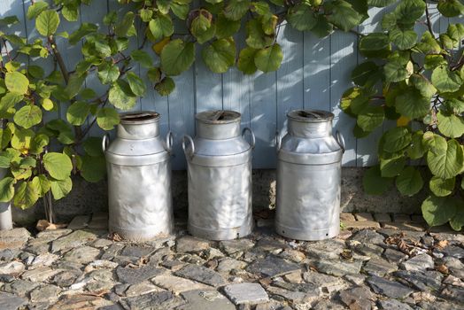 three churns for milk with plants and wood as background