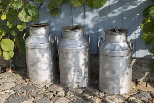 three churns for milk with plants and wood as background