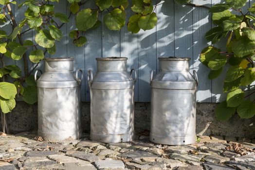 three churns for milk with plants and wood as background