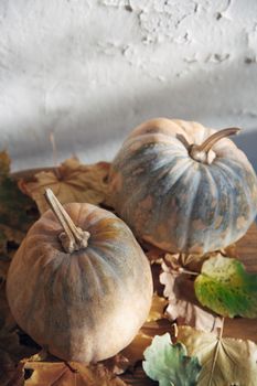 Pumpkins for Halloween with autumn leaves. Vertical photo