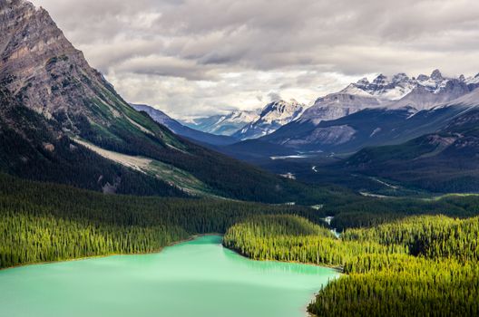 Landscape view of Peyto lake and Rocky mountains, Alberta, Canada