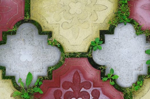 Path of colored tiles from the growing grass in the gaps as background                               