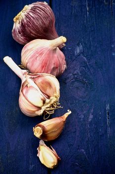 Fresh Ripe Garlic Full Body and Slices In a Row isolated on Dark Blue Wooden background