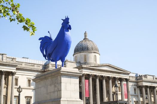 LONDON, UK - MAY 31: Katharina Fritsch's Hahn/Cock artwork in the fourth plinth of Trafalgar Square. The piece was unveiled in July 2013, and will remain for 18 months. May 31, 2014 in London.