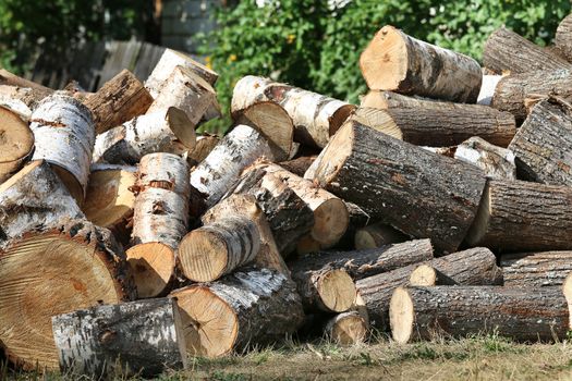 Dry chopped firewood logs in pile. Nature background.